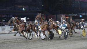 Mellan hästar med stora kliv. André Eklundh skrällde med Queen of Trixs på Solvalla för två veckor sedan då hon speedade ner storfavoriten Golden Tricks och Örjan Kihlström (närmast kameran).