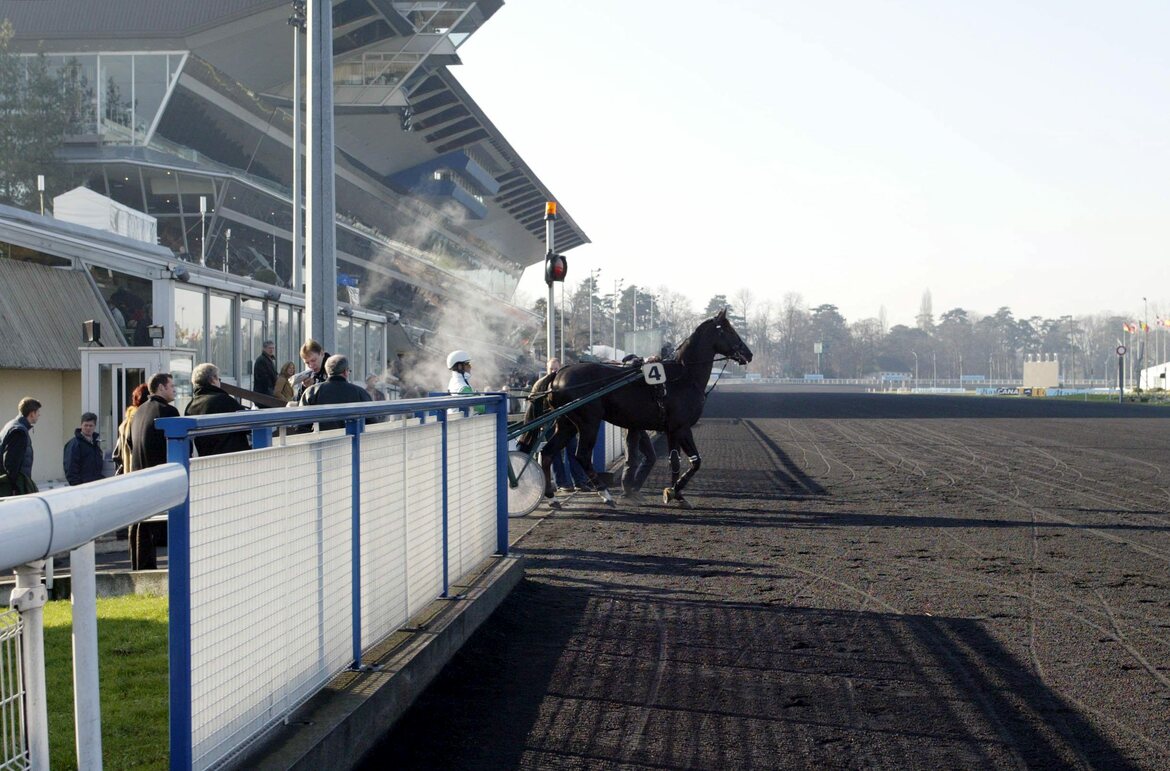 Häst kliver ut på Vincennes svarta bana.